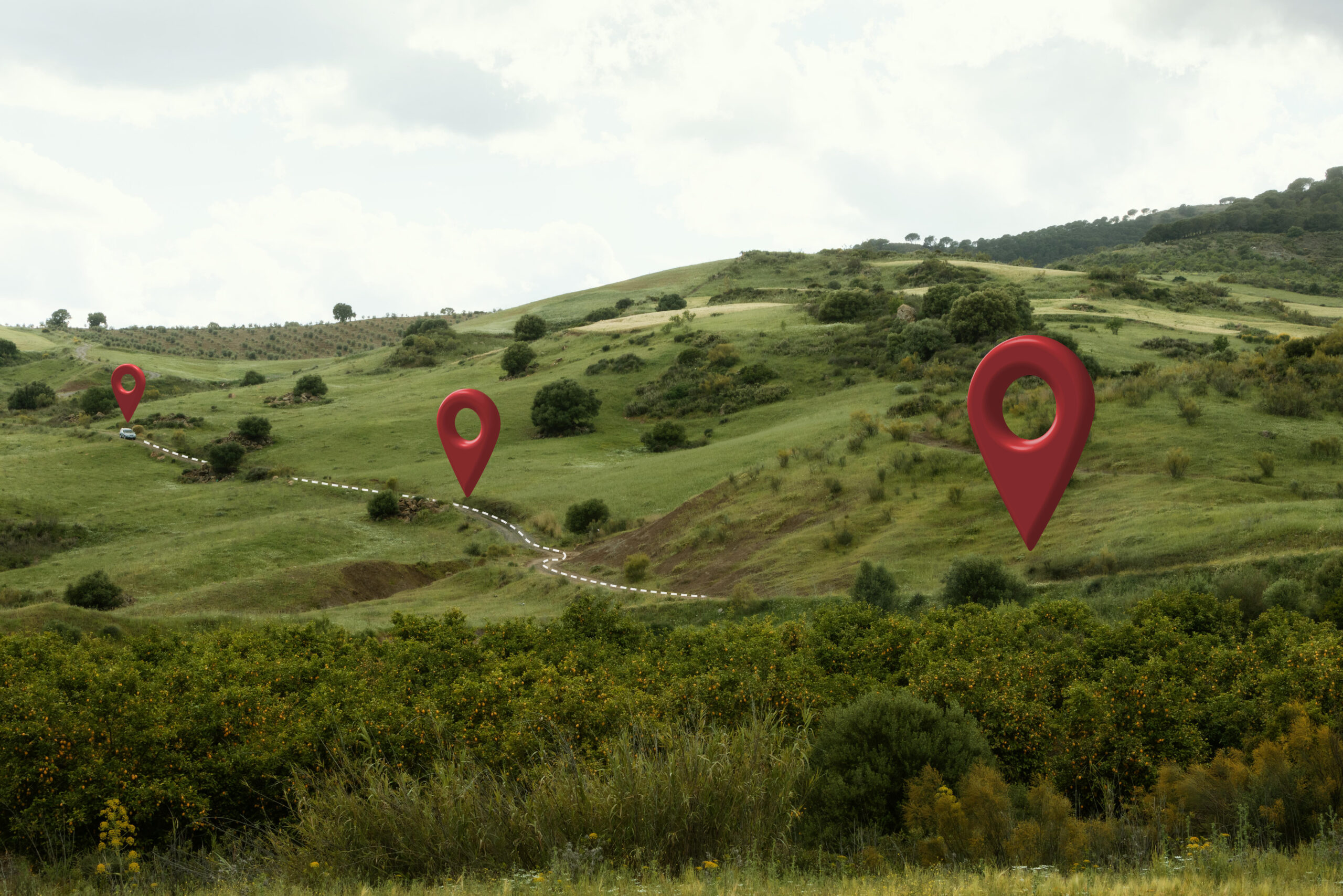 beautiful meadow with location symbols